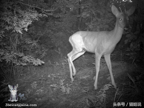 怀柔的北京生活,野性内蒙古