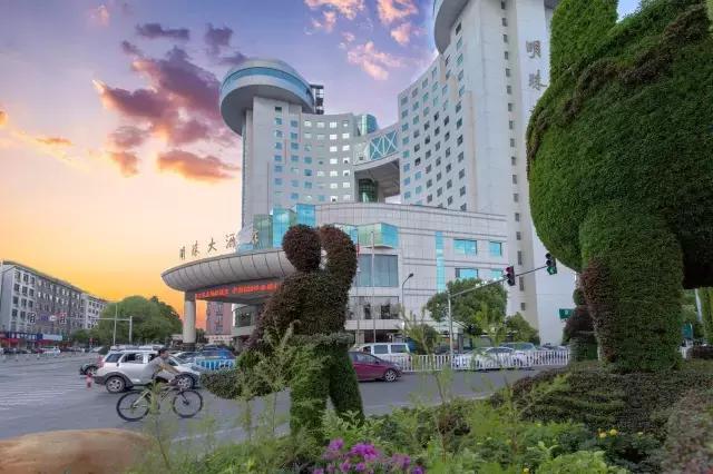 金华菜有哪些招牌菜,厉害了我的炒饭优惠团购