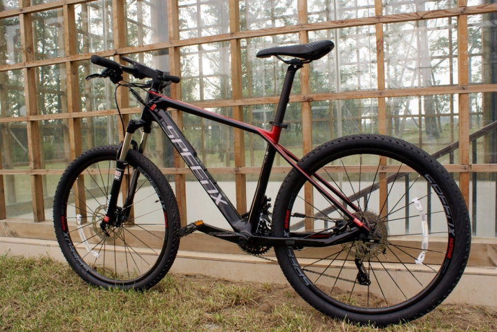 碳纤维4999,碳纤维车最便宜的车型