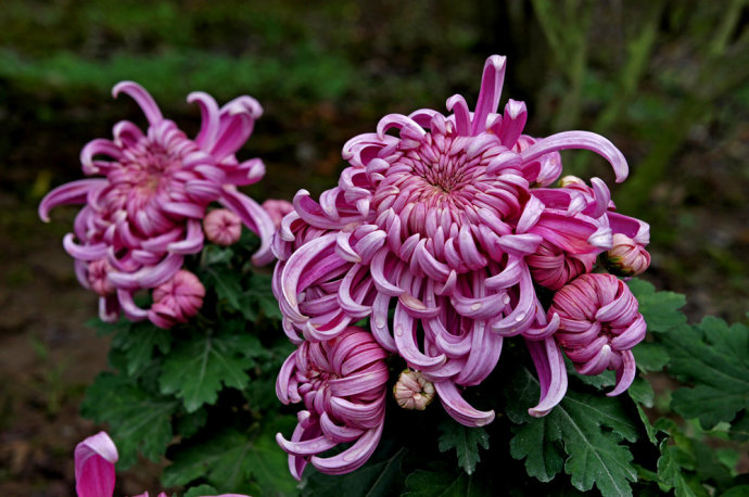 我写一首诗完美地告别九月，打开十月的那扇门