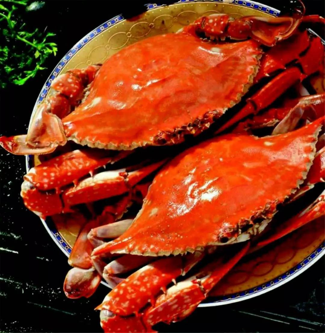 淡季嵊泗吃海鲜攻略,舟山嵊泗步行街美食