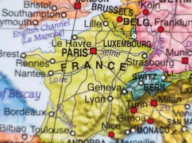 最有营养的葡萄品种,果香味浓郁的葡萄品种