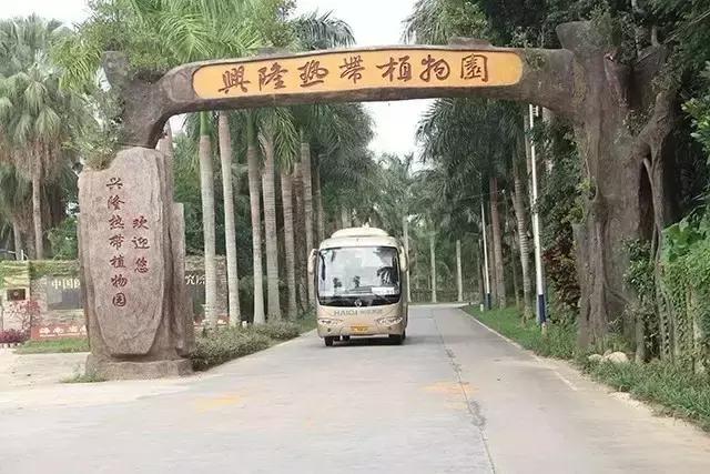 海南万宁国庆旅游攻略,万宁十大旅游必买品