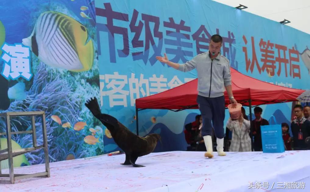 株洲漂流门票,株洲周边免门票游玩