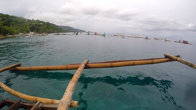 菲律宾潜水游记 (回忆菲律宾潜水的时光)