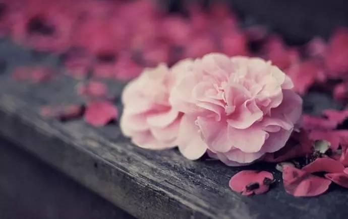 女人每年体检必须要做的项目,女性各年龄段必做的体检项目