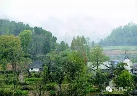 脱贫路上巾帼致富先锋,脱贫攻坚巾帼英雄