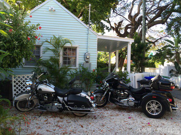 野鹅旅行,野鹅自驾无人区