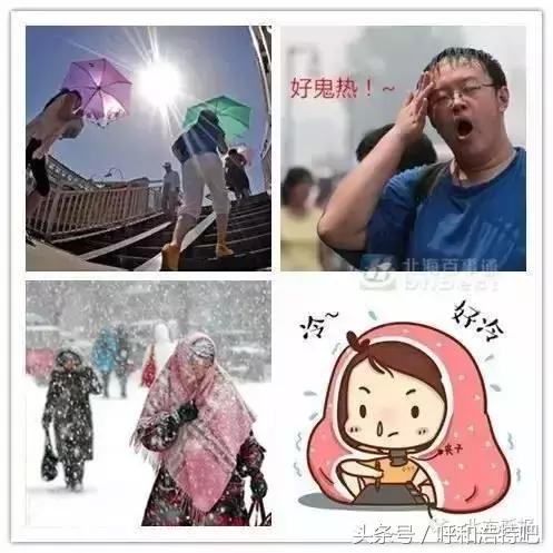 外地人对呼市的印象,呼市人被叫做什么