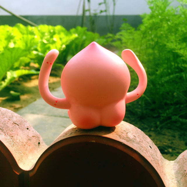 挑战你们的审美,挑战你的审美