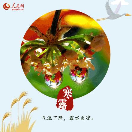 寒露可以露脚吗,寒露不宜露脚的危害