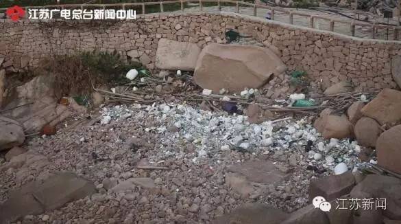 去东极岛晕船吐了,东极岛晕船呕吐