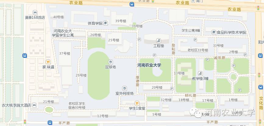 特别策划三分钟过后，农大小石榴马上开挂成老鸟！