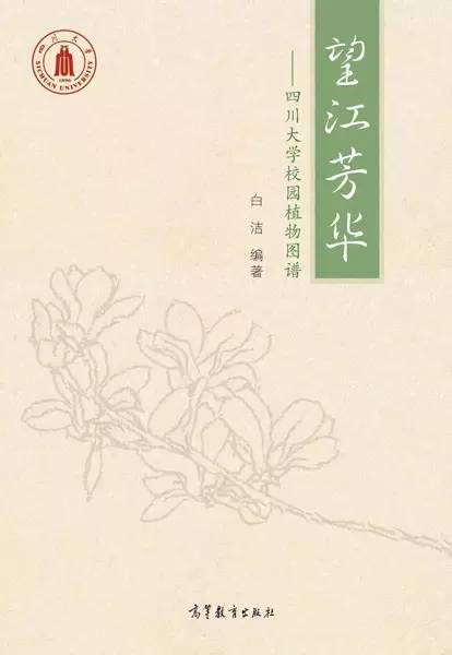 120年，你绝不可能错过的一种“川大之美”