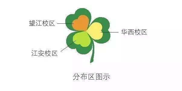 120年，你绝不可能错过的一种“川大之美”