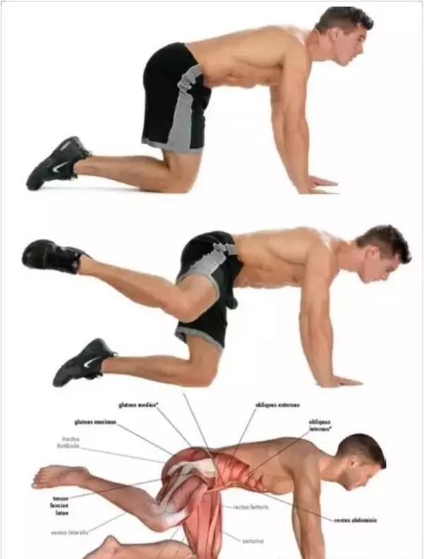 跑步经常膝关节痛?不妨试试从“髋”入手