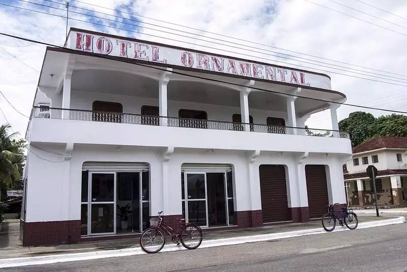 宝莲灯亚马逊,亚马逊雨林的宝莲灯