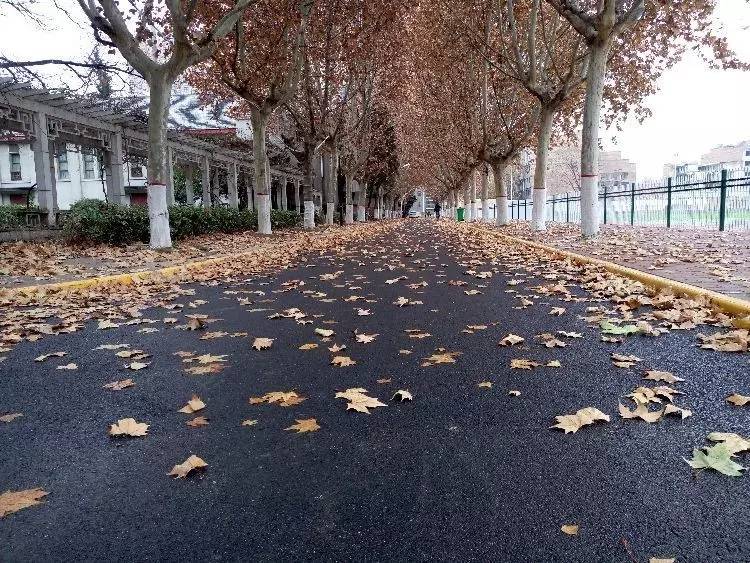 西法大,西法大以后还能评上双一流吗