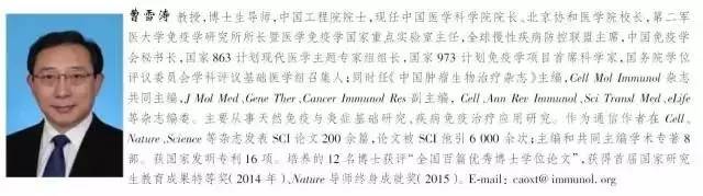 肿瘤免疫学治疗的现状,肿瘤免疫的现状及治疗新思路