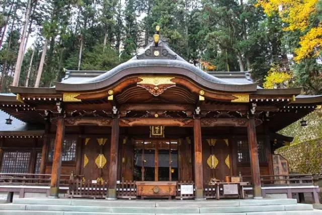 红叶堪比京都，温泉不输北海道的赏枫地，11-12月往返机票￥800+，不用担心人潮说走就走