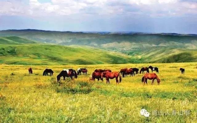 挣多少钱够在包头生活,在包头除了钱你最缺什么