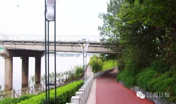 最佳赏桂花地点手绘地图,桂花赏花地图