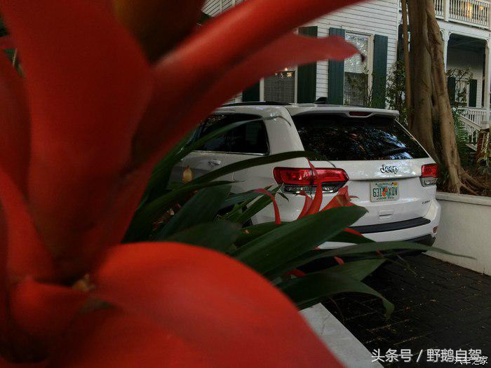 野鹅旅行,野鹅自驾无人区