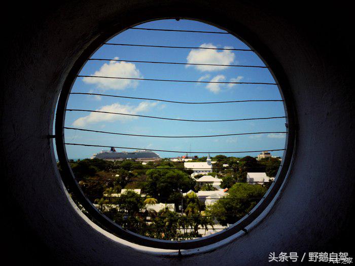 野鹅旅行,野鹅自驾无人区