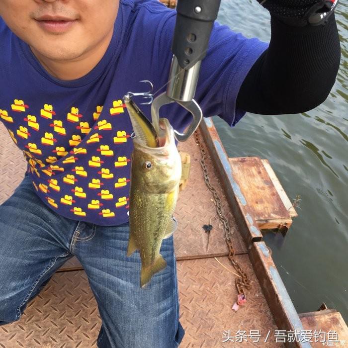 路亚野钓我们是认真的,路亚初衷