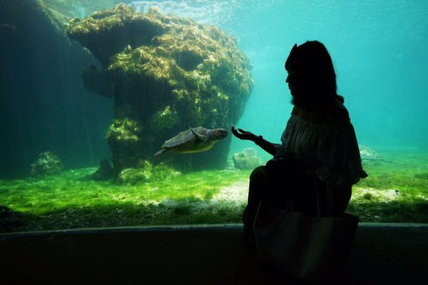 揭秘金银岛宝藏之谜,金银岛神秘之谜