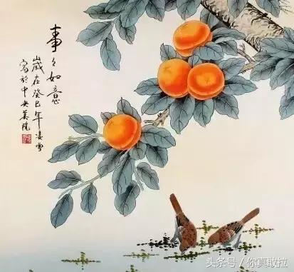 山东临沂平邑县的柿子怎么样,临沂哪里可以采摘新鲜铁皮柿子