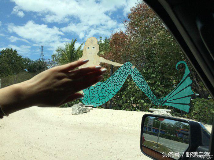 野鹅旅行,野鹅自驾无人区