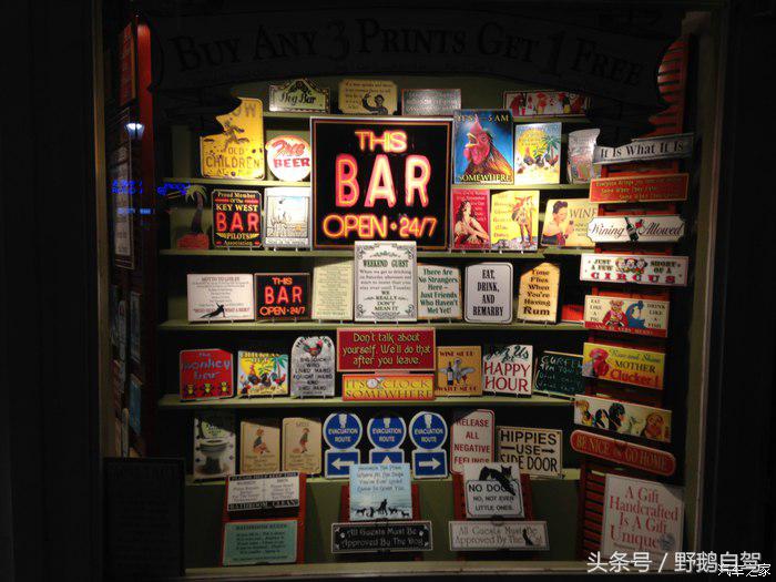 野鹅旅行,野鹅自驾无人区