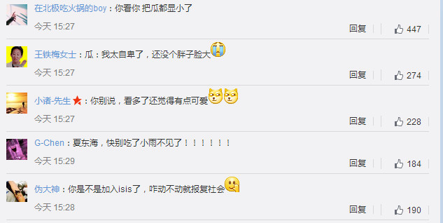 高晓松表情图,高晓松冬瓜表情