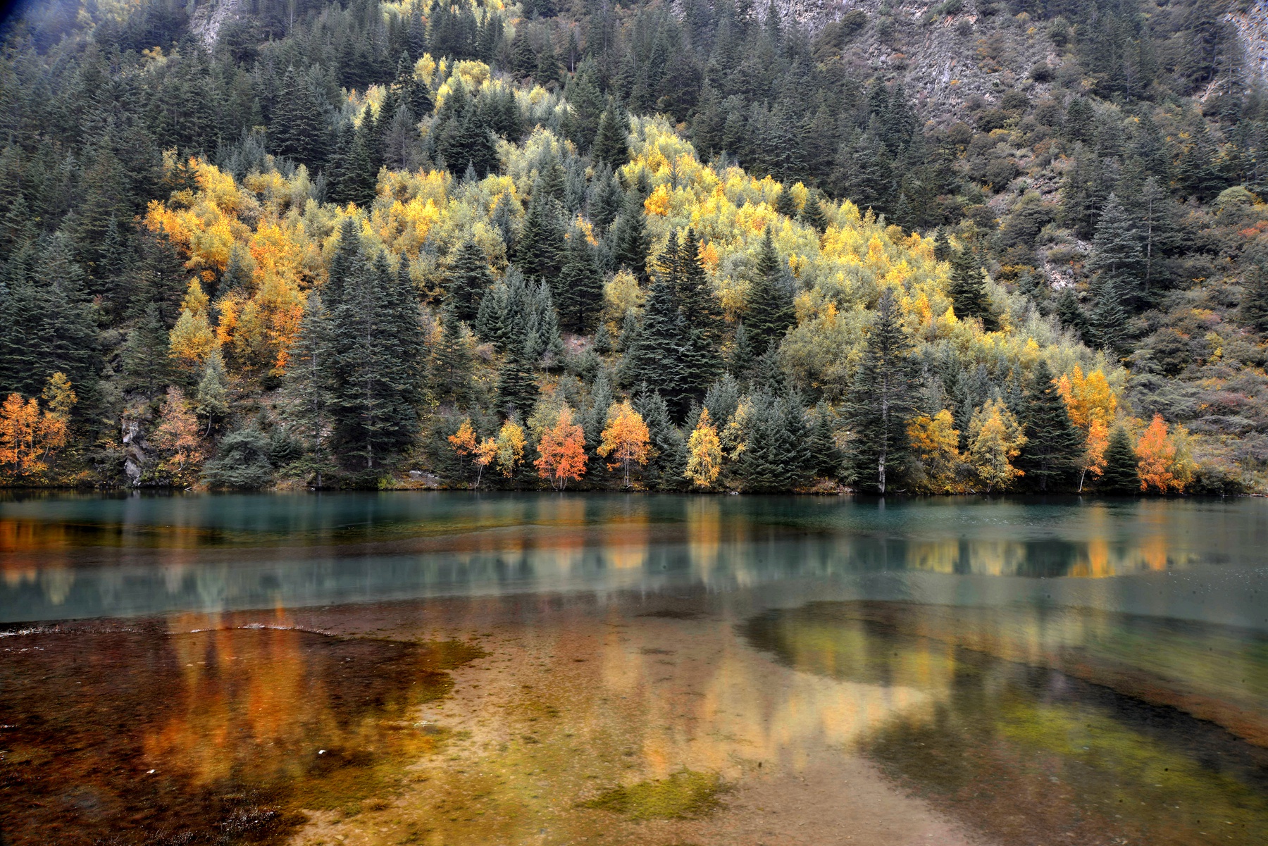 四川雅安宝兴夹金山天气预报,赞美宝兴夹金山红叶