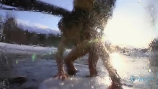 贝爷吃过最恶心的虫子,贝爷吃过十大恶心虫子