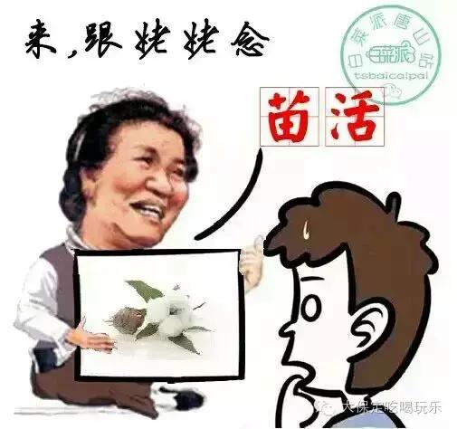 保定市区保定话,最正宗的保定话方言