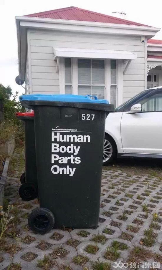 新西兰垃圾分类生活图片,新西兰垃圾不分类