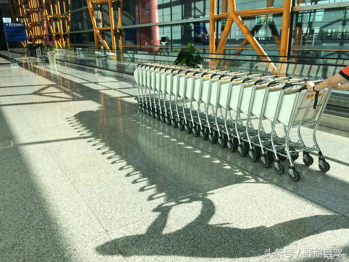 野鹅旅行,野鹅自驾无人区