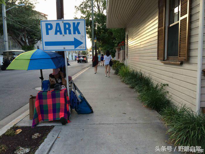 野鹅旅行,野鹅自驾无人区