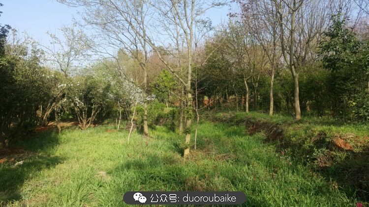 向阳的玻璃花房,玻璃花房设计建造