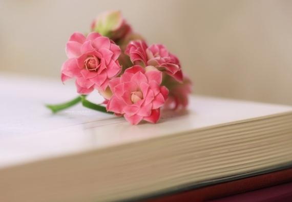 受孕率达到百分之三十容易怀孕么,把握最佳受孕阶段提高成功受孕率