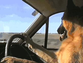 华生品牌有多少年了,华生化妆品