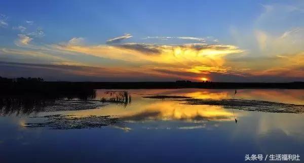 什么能够代表哈尔滨,哈尔滨代表人