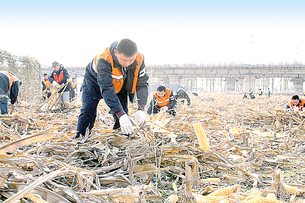 爱在家人间视频,爱在家人间板书设计
