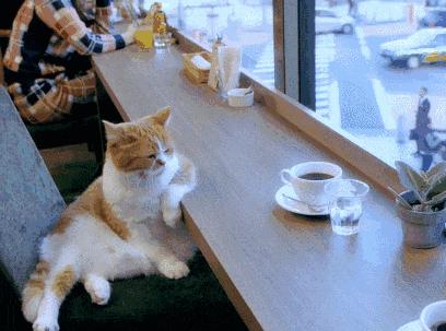 长沙星沙苍蝇馆子前十名,长沙大学城好吃的馆子排名