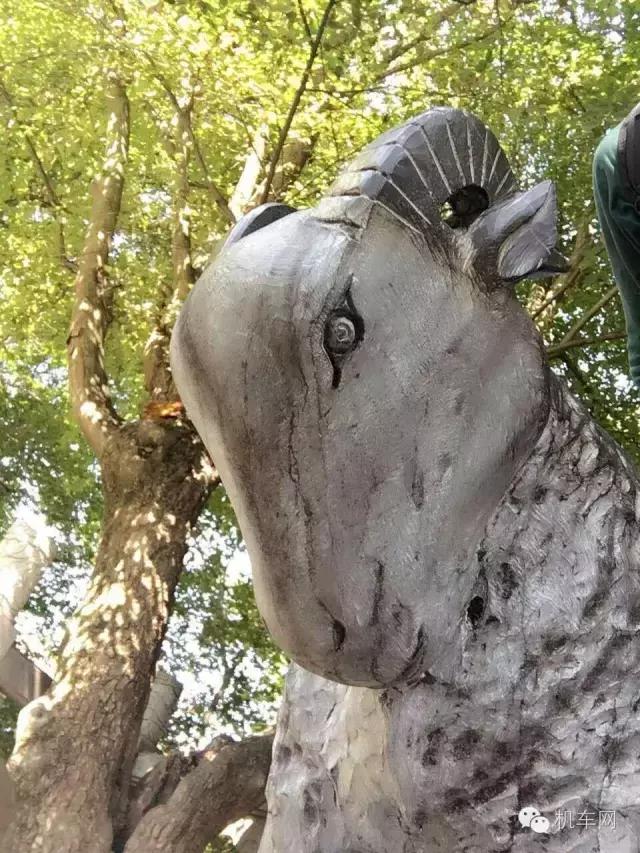 车友点滴故事,车友的个人风采