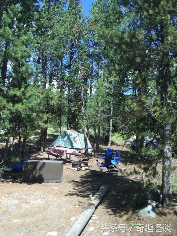 在美国旅游视频教学,美国自由行自驾游