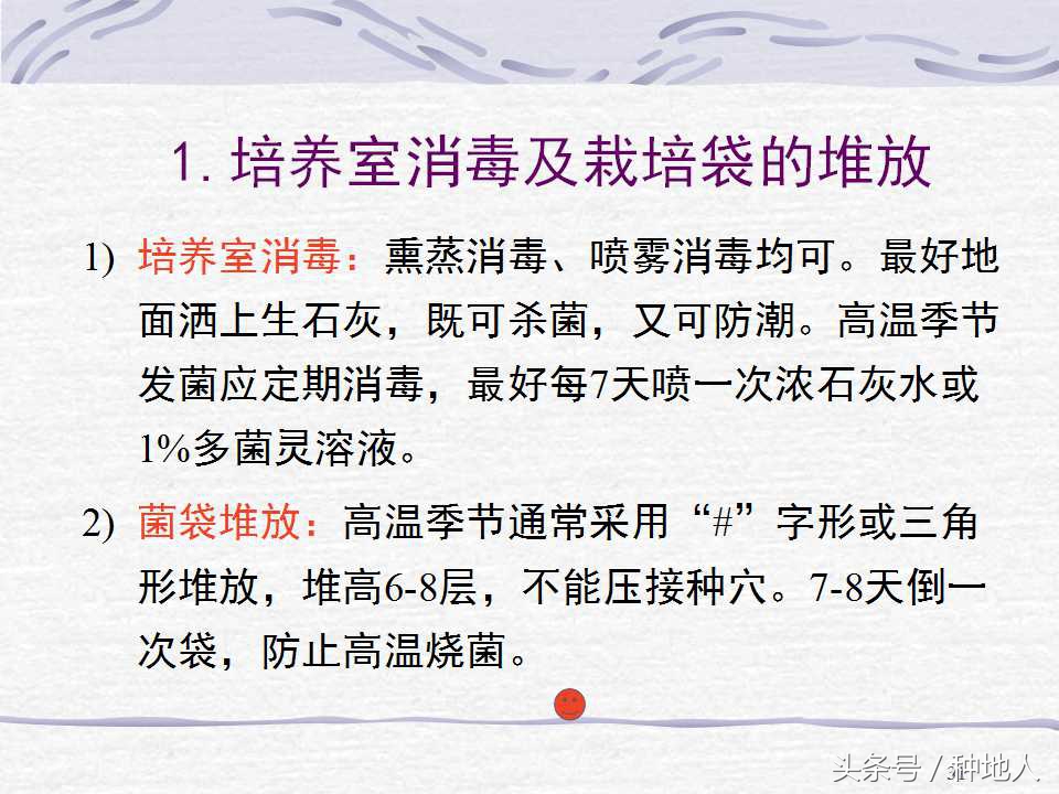 香菇栽培实用技术教案,屋顶香菇栽培