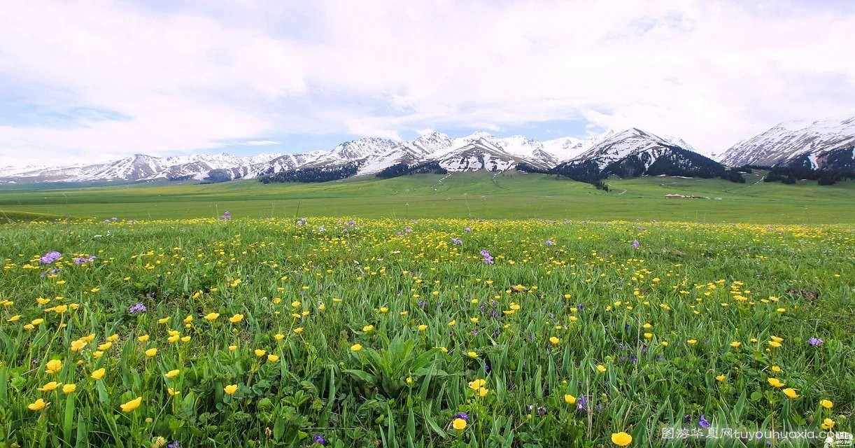 14张照片那拉提草原风景区 (美丽的那拉提草原真实图片)